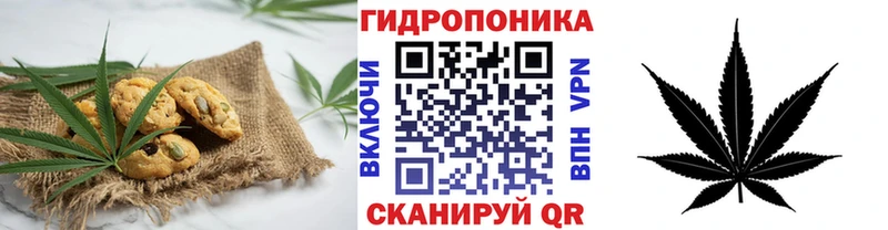 hydra вход  Ардон  Cannafood конопля 