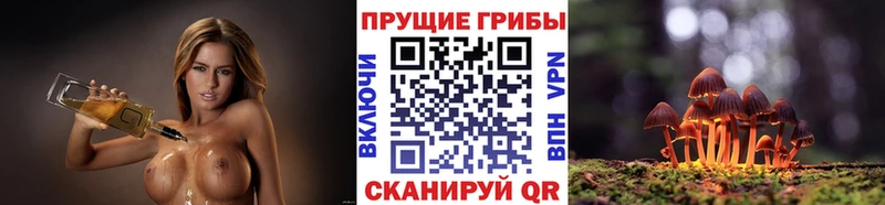 Галлюциногенные грибы мухоморы  площадка Telegram  hydra как зайти  Ардон  хочу наркоту 